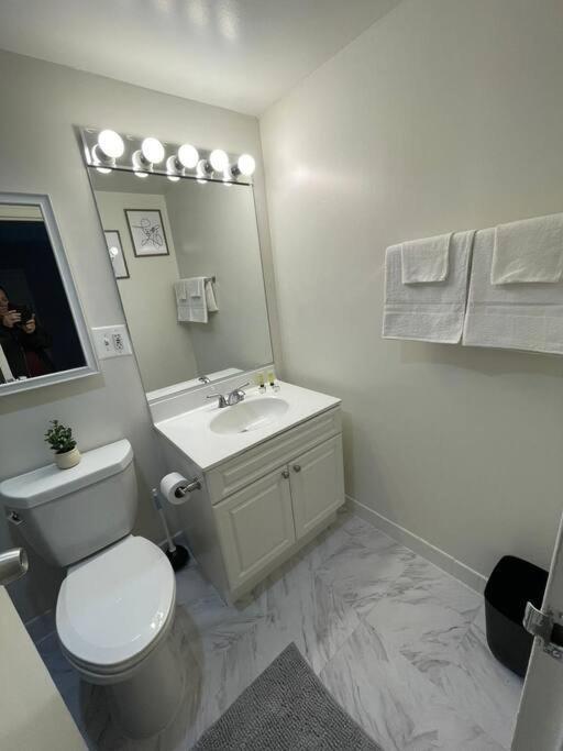 Charming Apartment At Crystal City With Amazing Amenities Arlington Eksteriør bilde